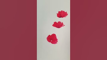 Watercolor poppies #quick watercolor flowers #shorts