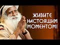 Как перестать жить прошлым и начать жить в этом моменте — Садхгуру