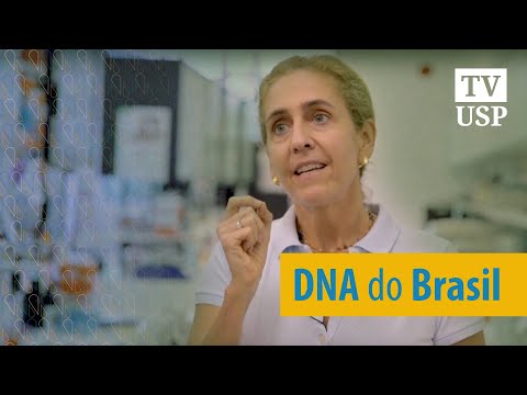 Vídeo: Em Dubai, Eles Planejam Realizar Um Estudo De DNA De Todos Os 3 Milhões De Residentes - Visão Alternativa