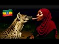 I Fed A Wild Hyena With My Mouth In Ethiopia Harar