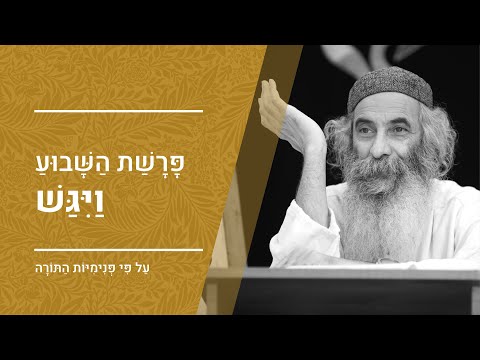 פרשת ויגש - חלק א' | מפי הרב יעקב יוסף כהן | פנימיות התורה, קבלה וחסידות