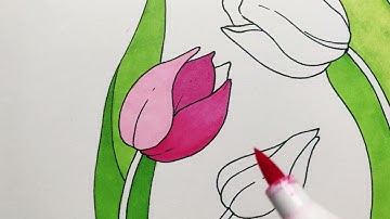 Spectrum Noir : Art Marker Techniques: Transitioning between two colours from the same family