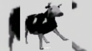 ~♡polish cow - cypis [ speed up ]♡~
