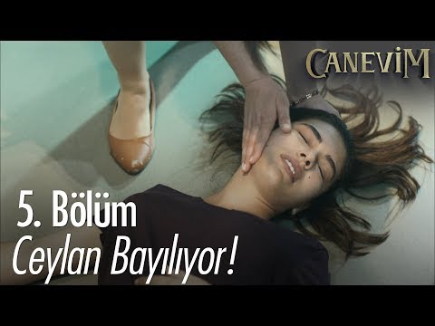 Ceylan bayılıyor! - Canevim 5. Bölüm