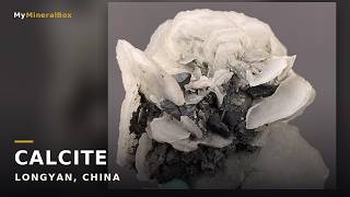Video preview: White Bladed Calcite – Longyan, Fujian, China | Natural Mineral Specimen