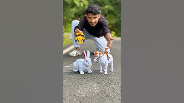 Remote Control Rabbit & Horse Speed Test 🐇