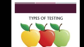 Software Security Testing and Testing Types