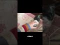 跳着跳着就长大啦! #猫 #萌宠