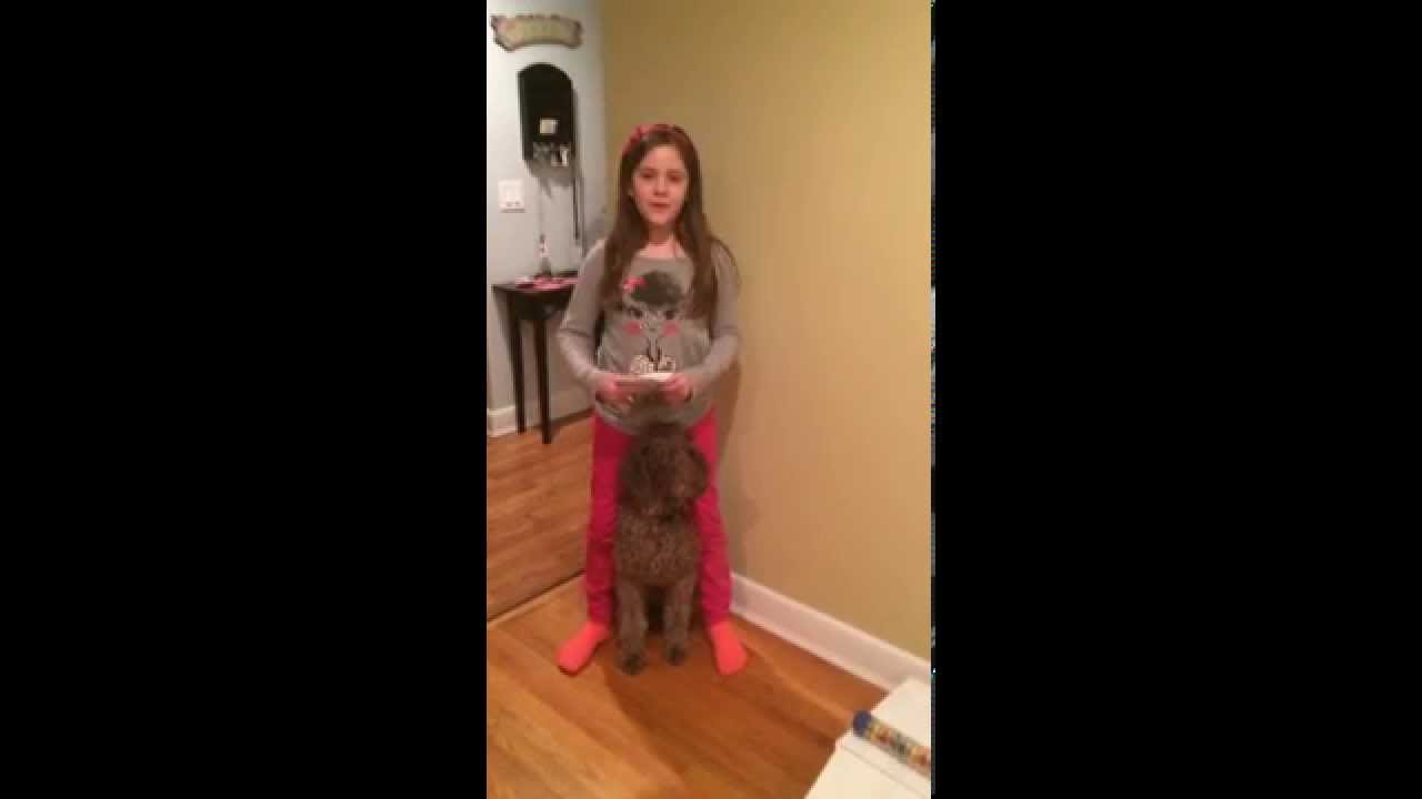 Dog Food Dispenser Simple Machine Dog Food Dispenser Simple Machine