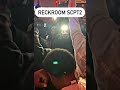 ReckRoom SCPT2 BIRK