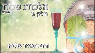 הרב מאיר אליהו - הלכות פסח חלק ג'