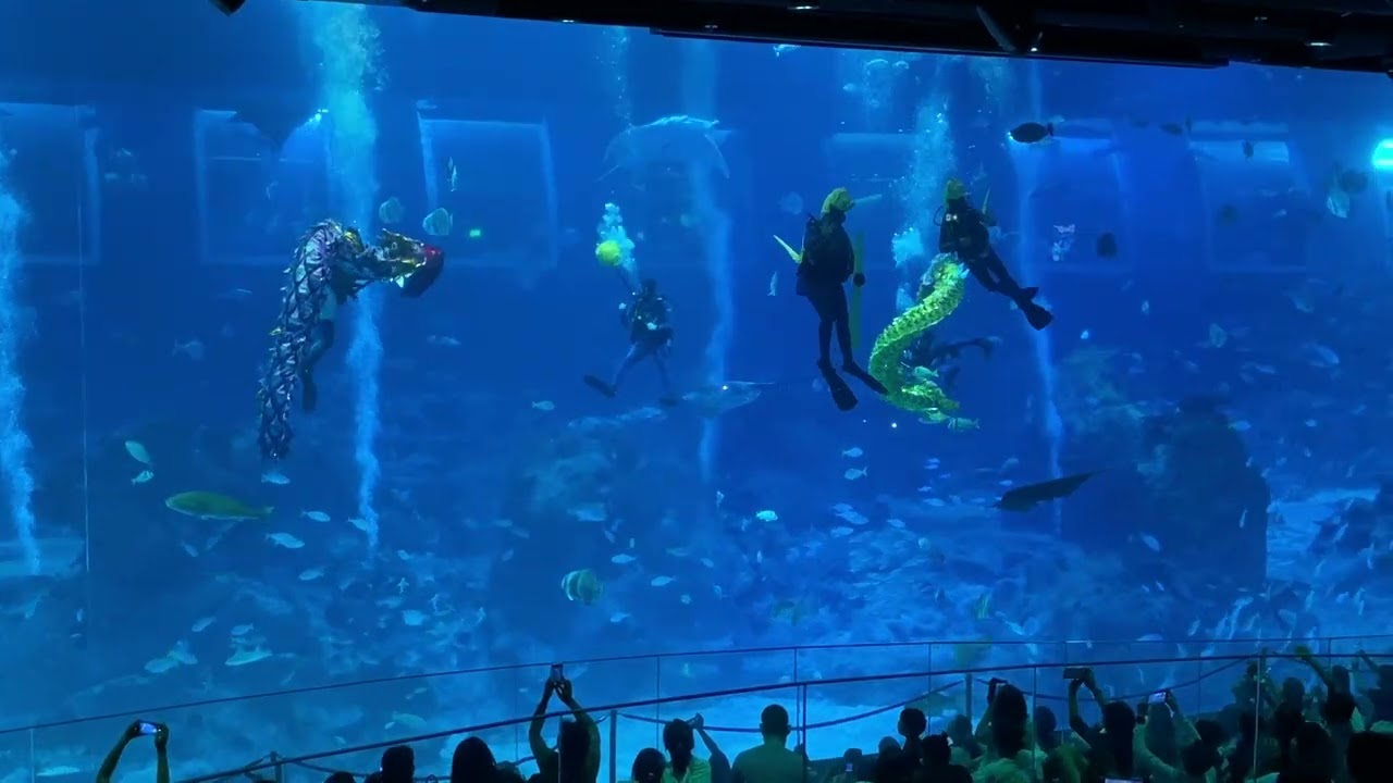 2026 CNY Underwater Dragons Dance at Singapore Oceanarium 2026新加坡海洋生态馆 - 海底舞龙