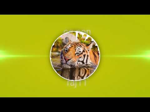 CG Non Stop Song Second Part Dj Nikhil And Shom Raj