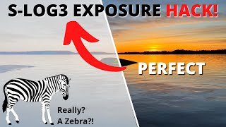 How to EASY expose S-LOG3 correctly - with Zebras!