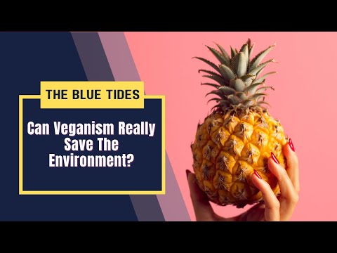 Veganism And Environment: Can Meatless Diet Really Save The Environment?