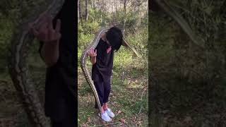 Kid holding huge coastal carpet python!!!😱😱🐍 #shorts #animals #reptiles #snakes #nature