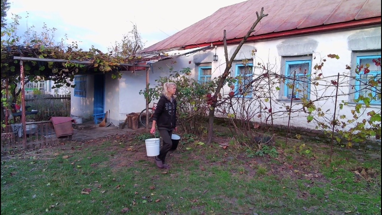 Моя непростая деревенская жизнь | Одна на краю села у леса