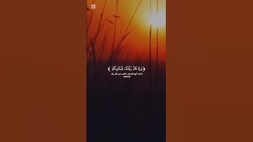 أفضل تلاوة القرآن الكريم بصوت جميل اللهم اجعل القرآن ربيع قلوبنا ونور صدورنا #quran #المصحف