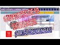 GANADORES DE SORTEO DE 10 DE  LICENCIAS BORNEO SCHEMATICS!