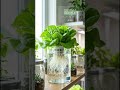😱 This Tiny Number Can Kill Your Plants! 🧪🌱