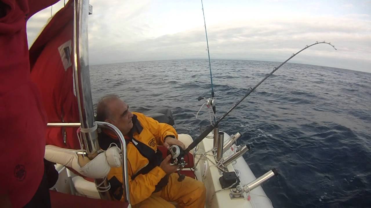 Vertical jigging with electric reel Amberjack 13kg απο τον Μπαμπη