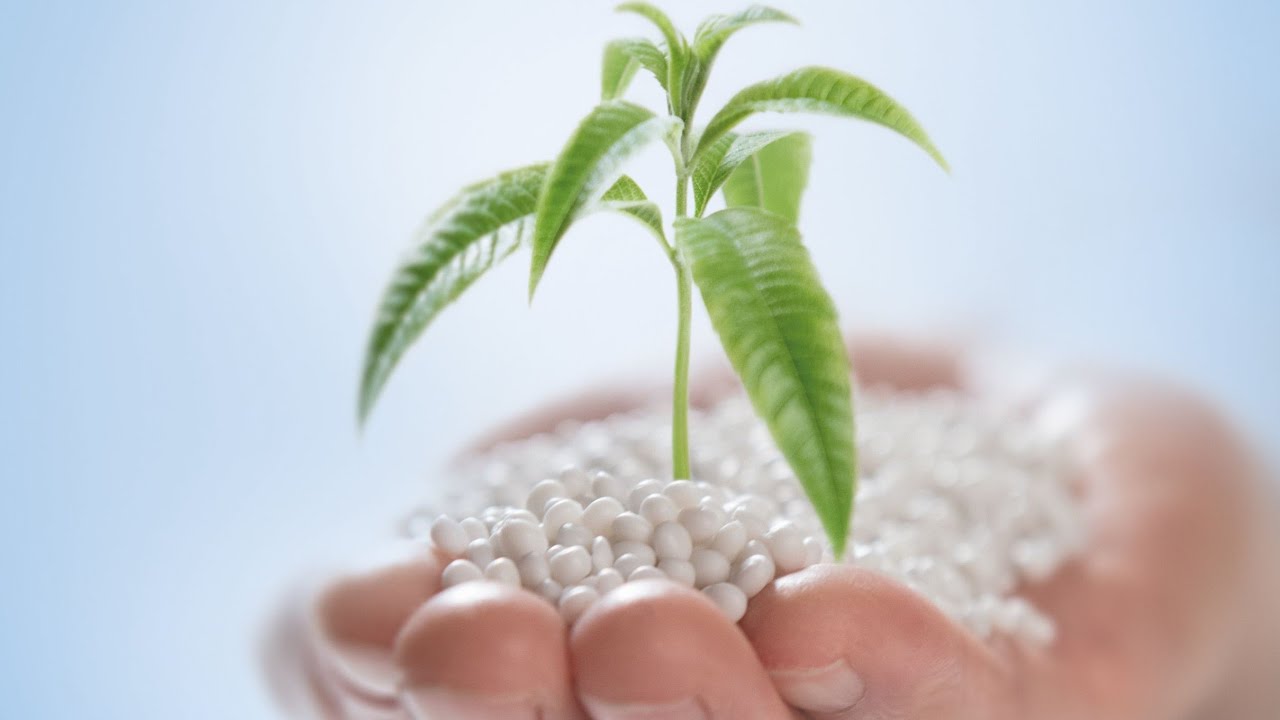 Biodegradable polymers in a Circular Economy: ecovio® and ecoflex®