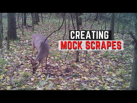 Creating Mock Scrapes