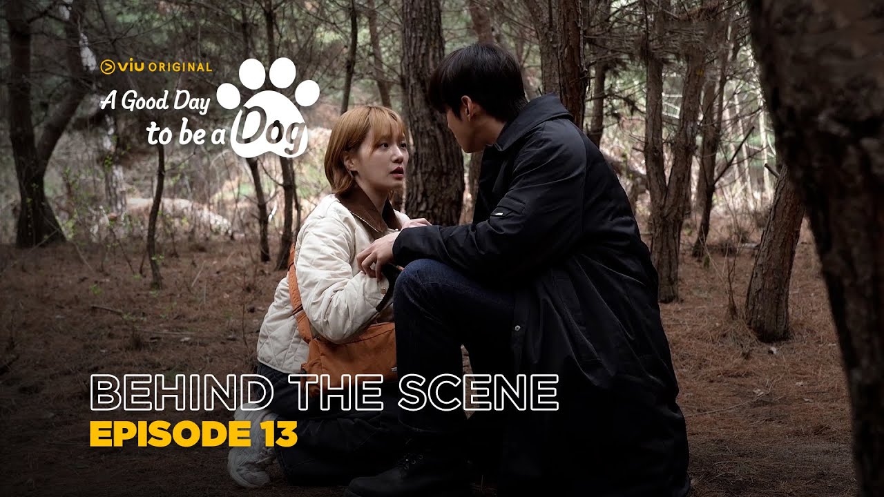 A Good Day To Be A Dog | Behind The Scene EP13 | Cha Eun Woo, Park Gyu Young, Lee Hyun Woo