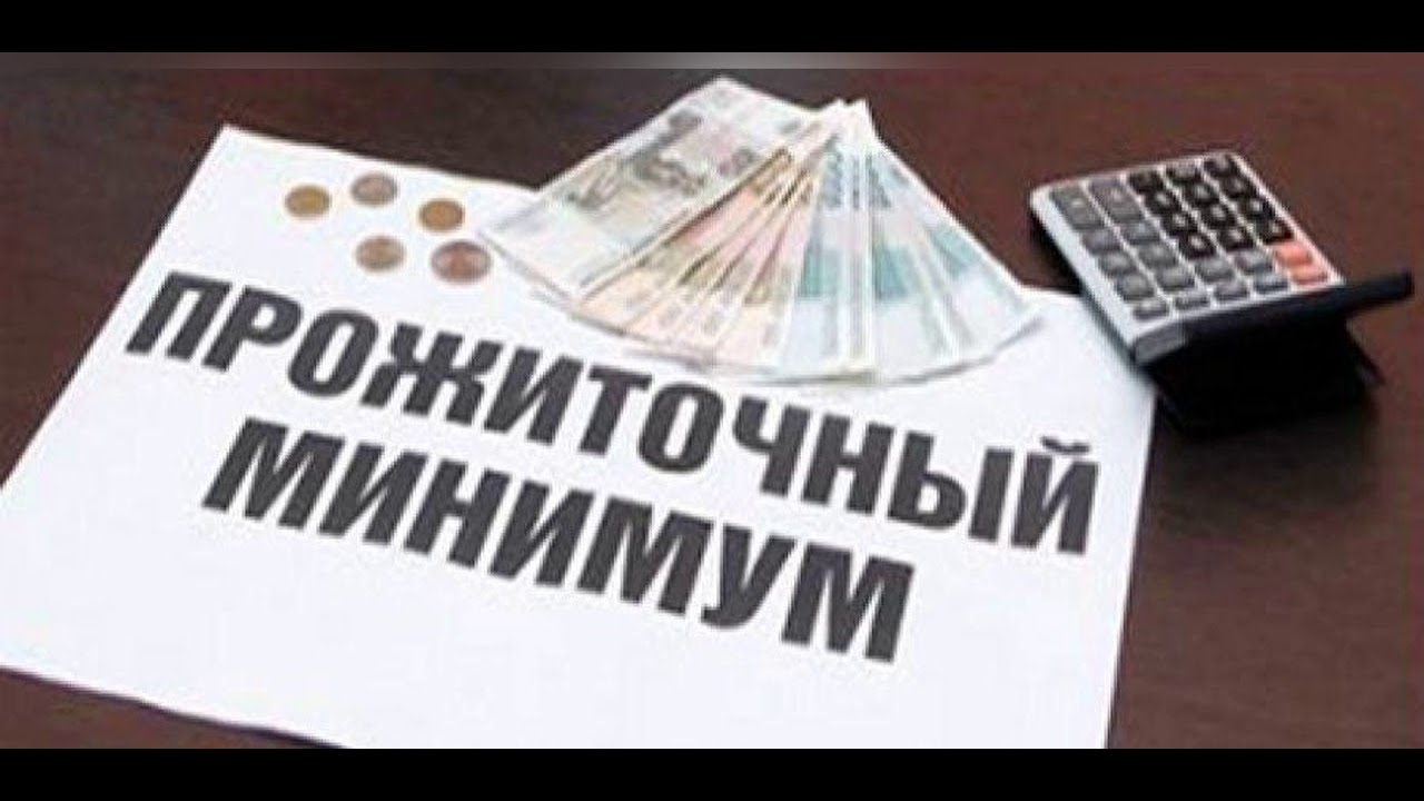 (96) Должнику прожиточный минимум без визита к приставам - YouTube