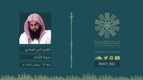 سورة الملك - القارئ أنس العمادي