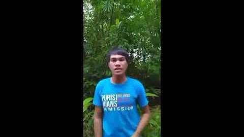 Simple Rope and Pole Display Board