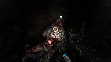 Metro Last Light Redux THE CROSSING Part 21 Walkthrough