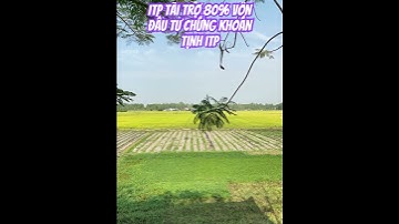 Itp tài trợ 80% vốn đầu tư chứng khoán cho nhà đầu tư tài năng #itp #itpclub #ichimoku