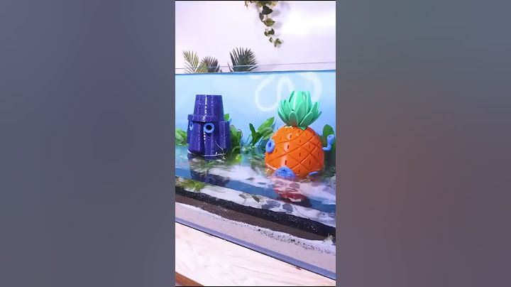 Bikini Bottom in a Fish Tank? 🍍