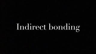 Indirect Bonding - Full tutorial