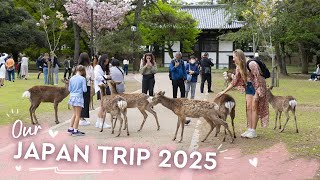 Japan Trip 2025 | What An Amazing Place!