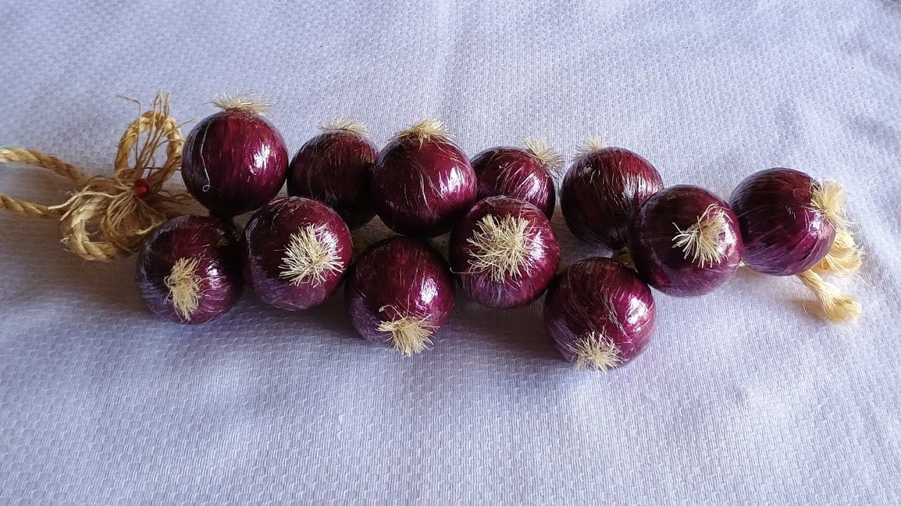 RÉSTIA DE CEBOLA ROXA,FEITA COM BOLA DE ISOPOR.