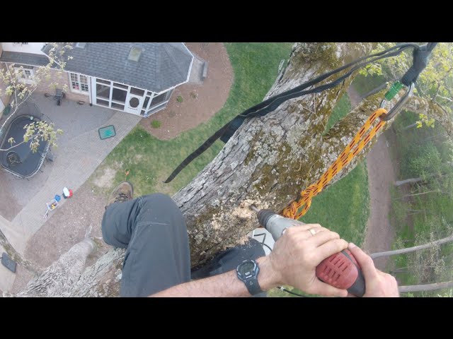 Single Rope Tree Swing Installation by Piedmont Tree Climbing