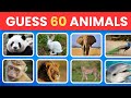 🐾 60 Animals Quiz Challenge 😱 Easy to Impossible Level 🧠 Only Genius Can Score 60/60!