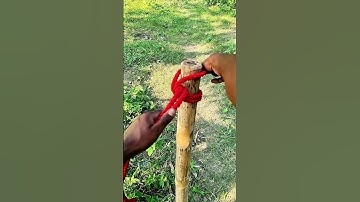 WOW... The Best knot and strong!!