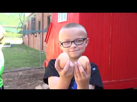 A DAY IN THE LIFE OF: Pine Log Elementary School Students.