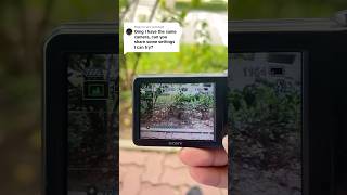 How to set film look on digicam | Sony Cybershot DSC W710 #sonycamera #digitalcamera