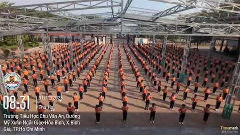 Đồng diễn võ Vovinam - Trường Tiểu học Chu Văn An, X. Bình Giã, TP. Hồ Chí Minh