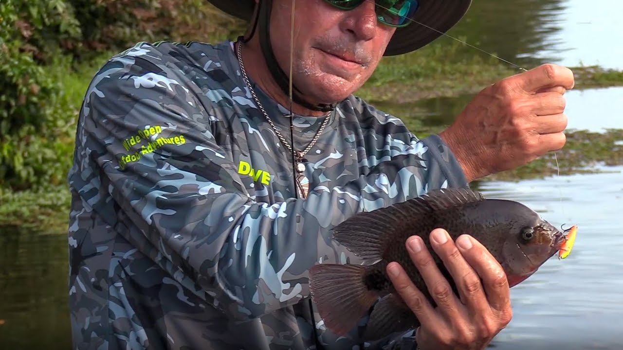 Fishing for Aggressive Species like Mojarra in Tortuguero Lagoon, Costa  Rica