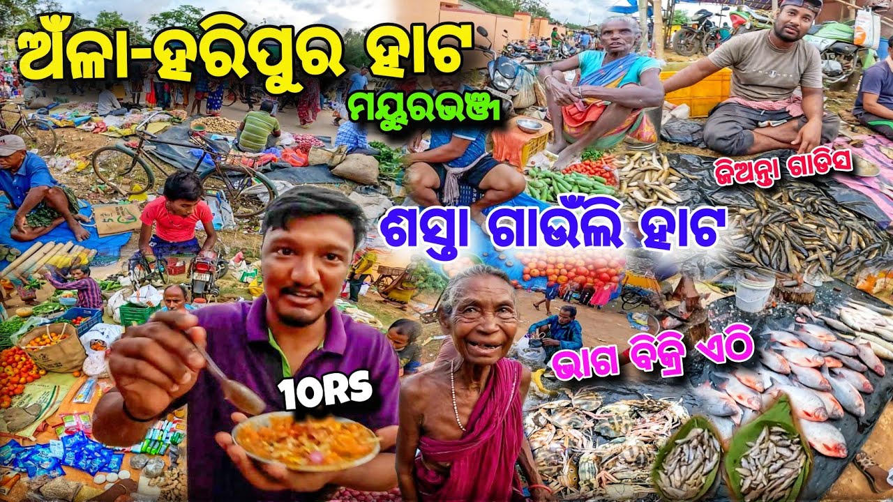 ବୈସିଙ୍ଗାରୁ ୧୫କିମି ଦୂର😱ଦେଶୀ ହାଟ Anla,Haripur Hata🔥 ଭାଗରେ ବିକ୍ରି ମାଛ🐟କଙ୍କଡା🦀 Mayurbhanj Hata