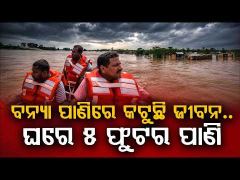 Brahmani River Flood Inundates Kendrapara Villages Crocodile Fear Grips Locals | Argus News