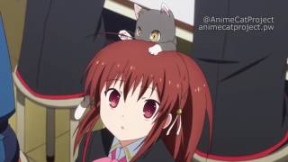 Cat out of Context - Little Busters! Ex