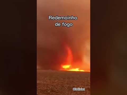 Vídeo: Fenômenos naturais raros e incomuns: foto, descrição