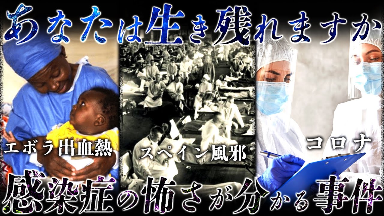 【作業用】たっくーの感染症の怖さが分かる事件解説まとめ【たっくー切り抜き】