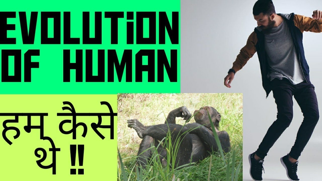 Evolution Of Human || Origin Of Human || Explained In Hindi ...